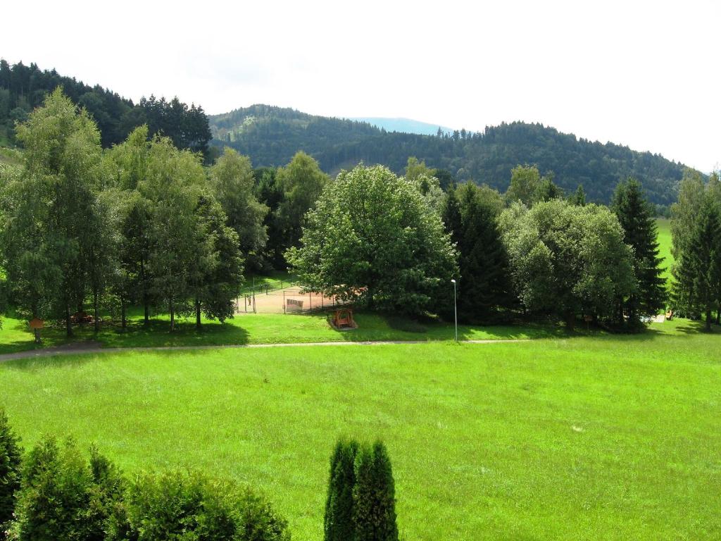Silberkönig Schwarzwald Hotel & Restaurant Ringhotel photo 3