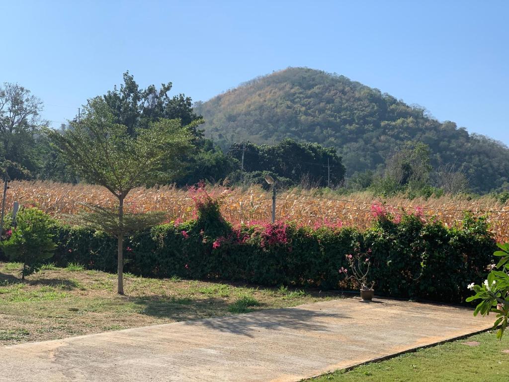 Lek Village Khaoyai photo 1