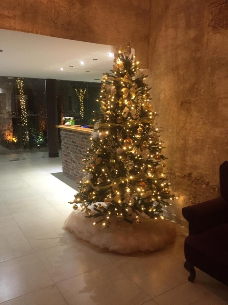 HOTEL BOUTIQUE JAYCO photo 4