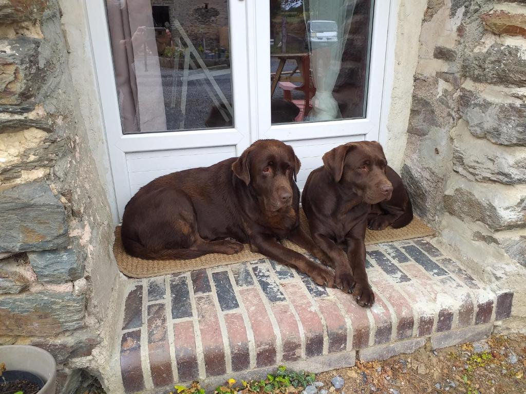 La Petite Houssaye photo 2