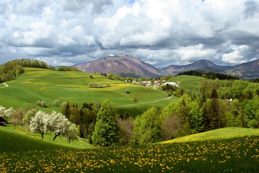 Tourist Farm Ljubica photo 1
