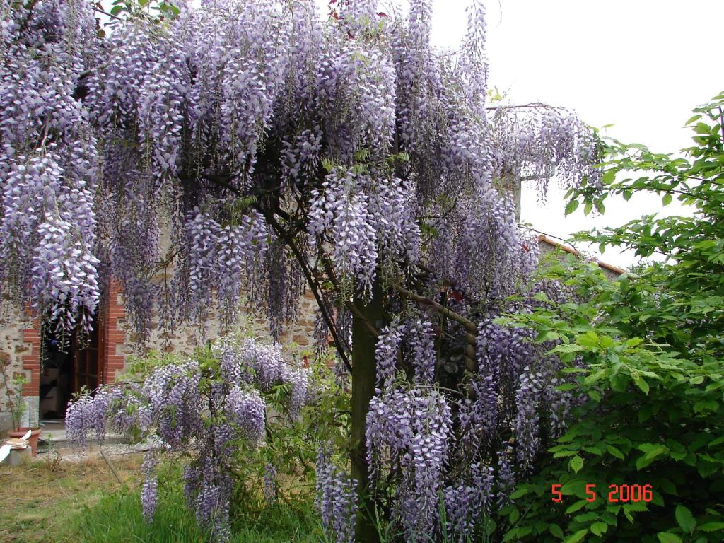 Gîte climatisé de La Haute Rue photo 4