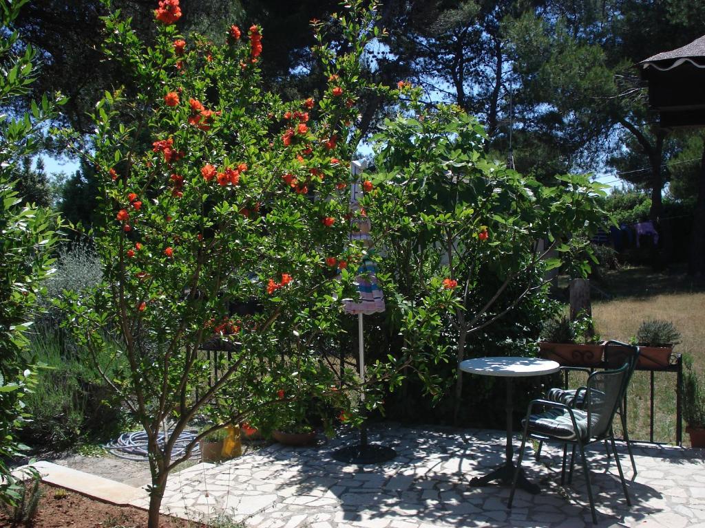 Holiday Home Julia photo 1