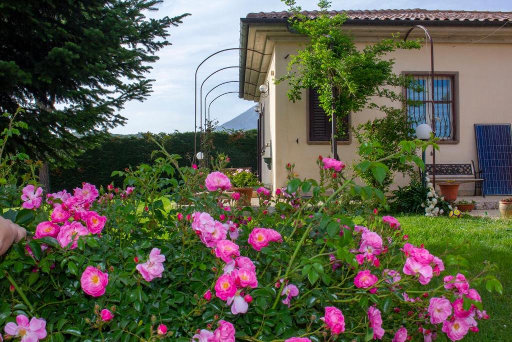 Villa Giulia photo 1