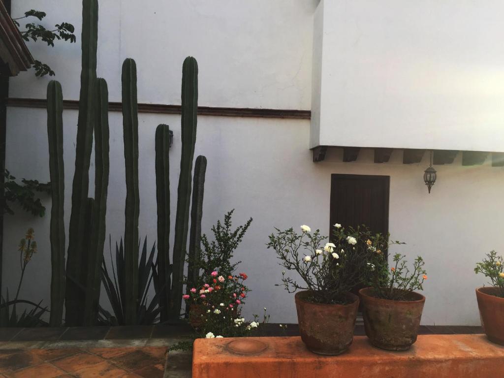 LAS ALAMEDAS Departamentos céntricos con estacionamiento privado photo 3