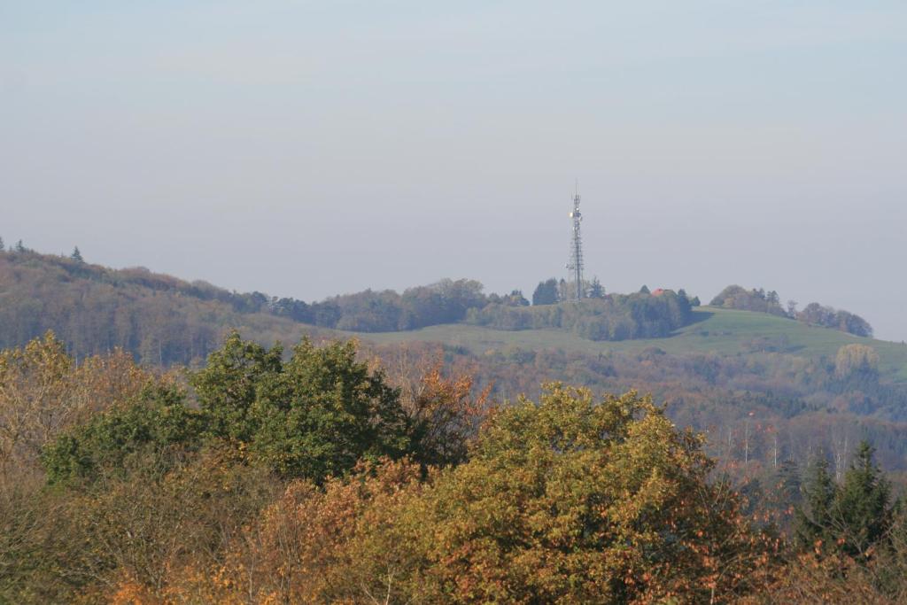 Fewo im Naturpark photo 1