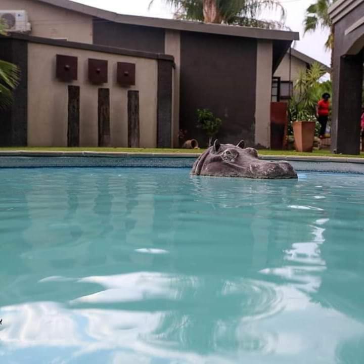 AFRICAN DREAMS GUESTHOUSE photo 2