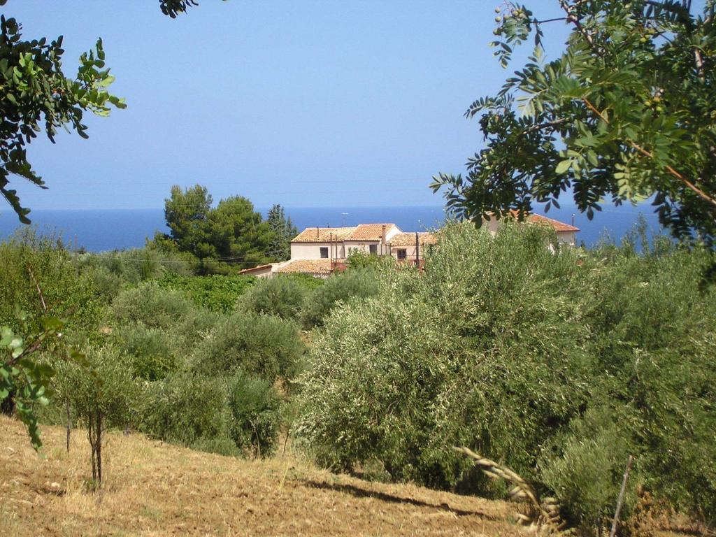 Il Casale il Sole e la Margherita photo 1