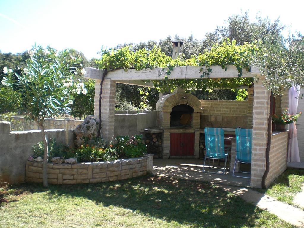 Bava photo 2