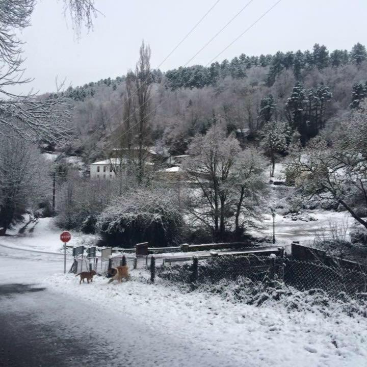 Casa Da Carme photo 1