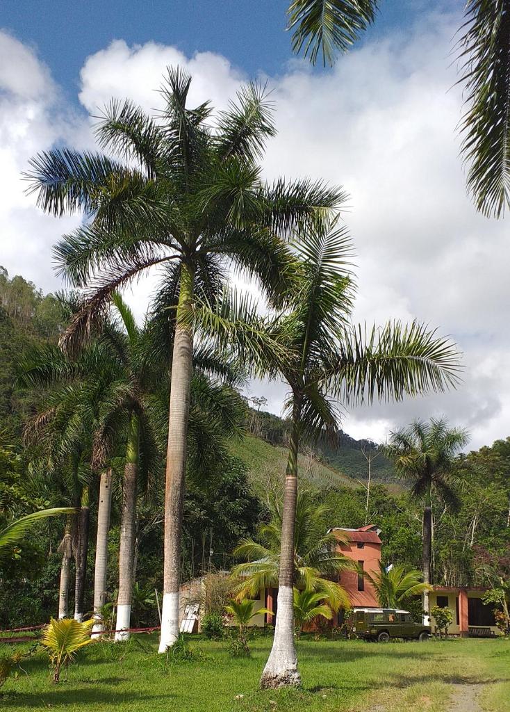 Paraiso Inn photo 3