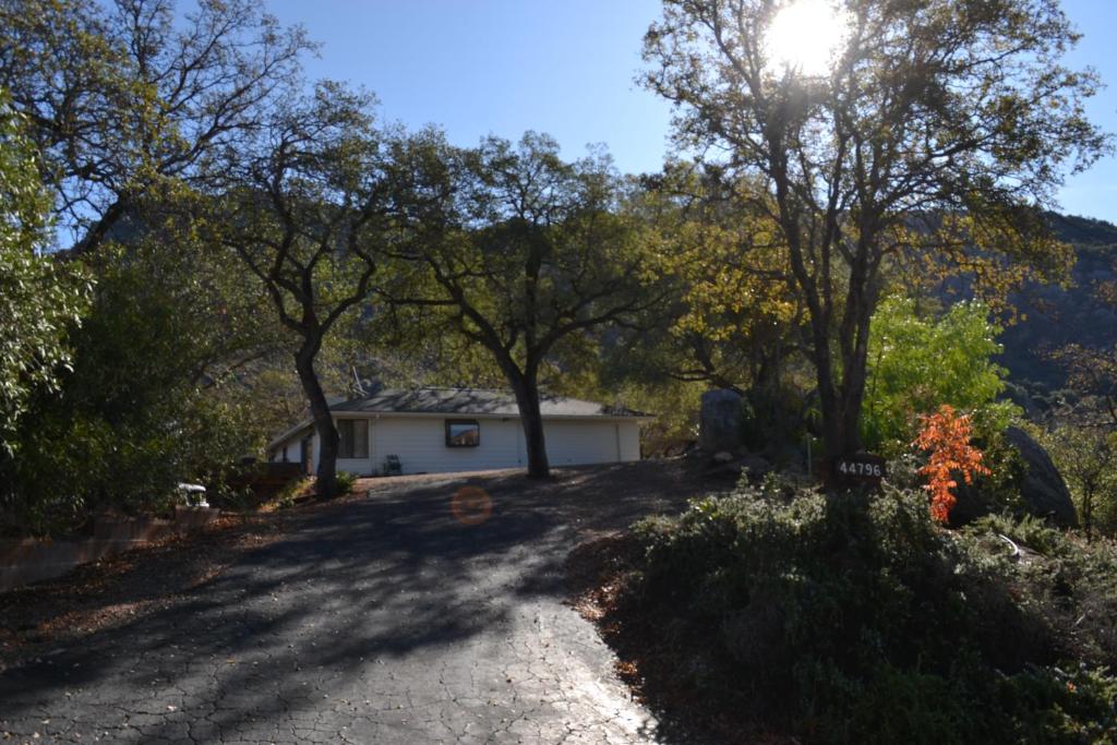 Shady Knoll photo 2