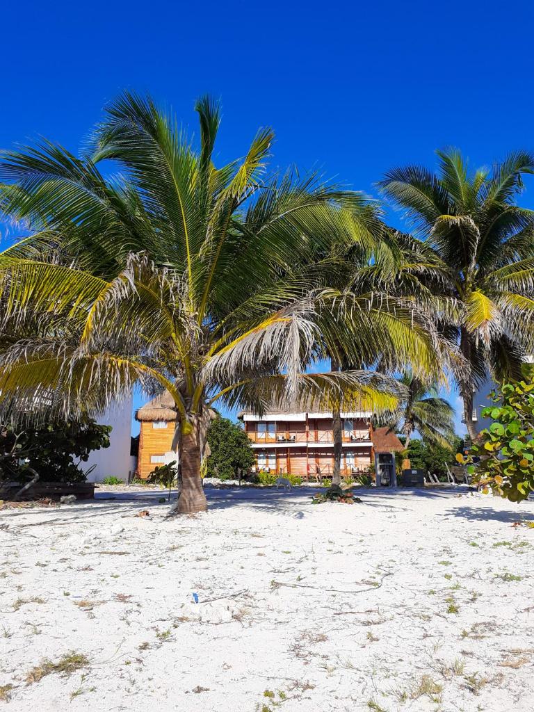 Palmeras de Mahahual Cabañas photo 2