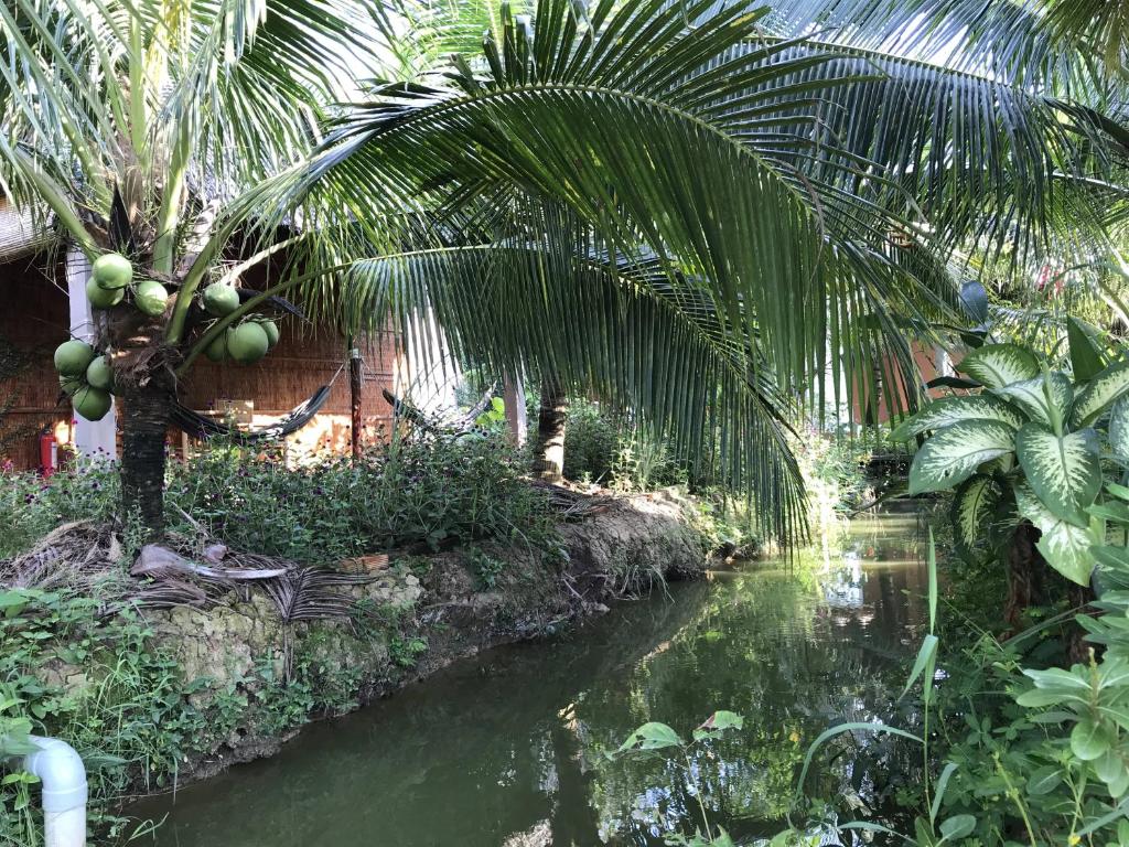 Ben Tre Garden Farmstay