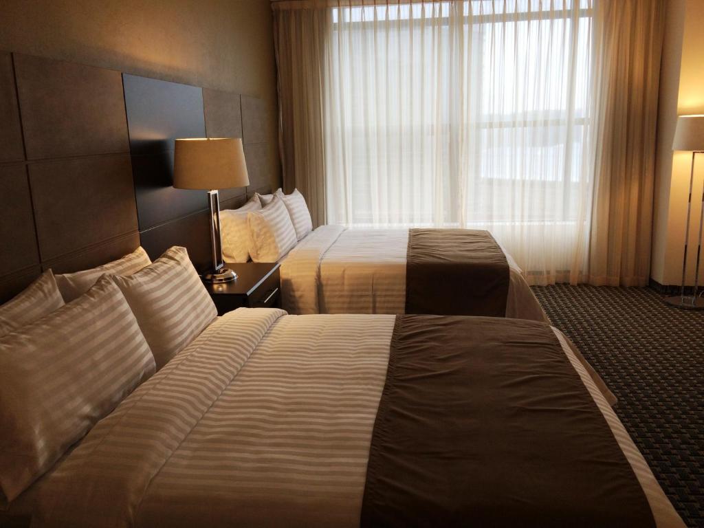 Двухместный (Номер с 2 кроватями размера «queen-size»), Holiday Inn Mexico Santa Fe