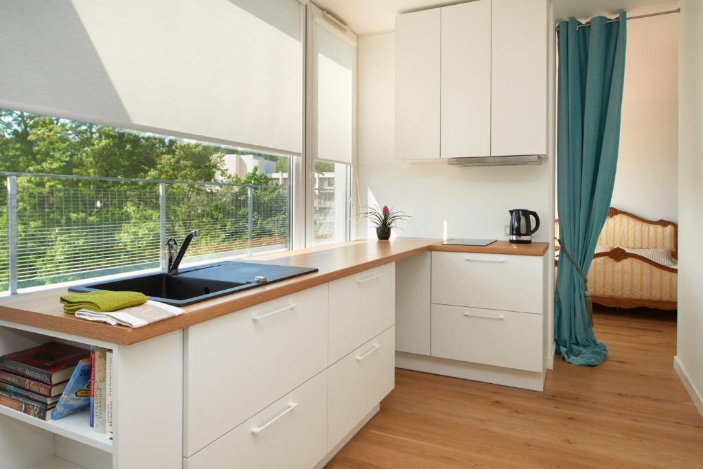 Central Apartment photo 3
