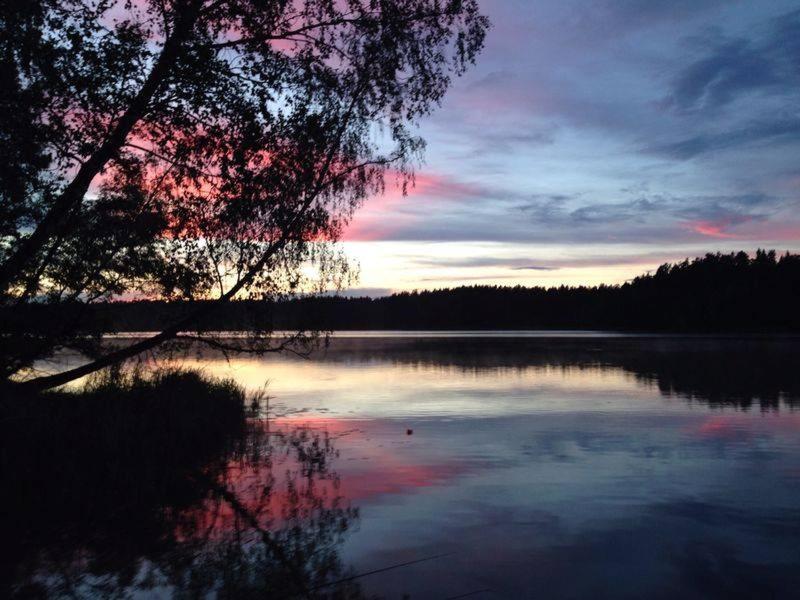 Asvejos slenis photo 3