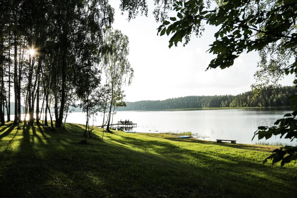 Asvejos slenis photo 2