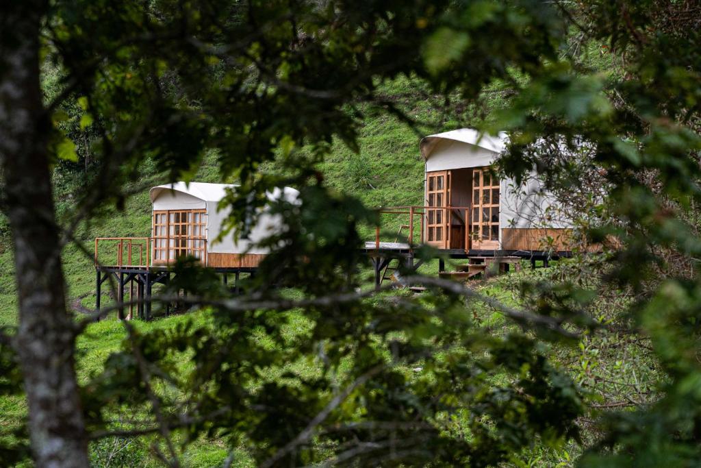 Birdglamping Los Arboles Glamping Hotel