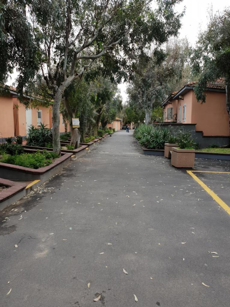 CUCARACHA BUNGALOW photo 2