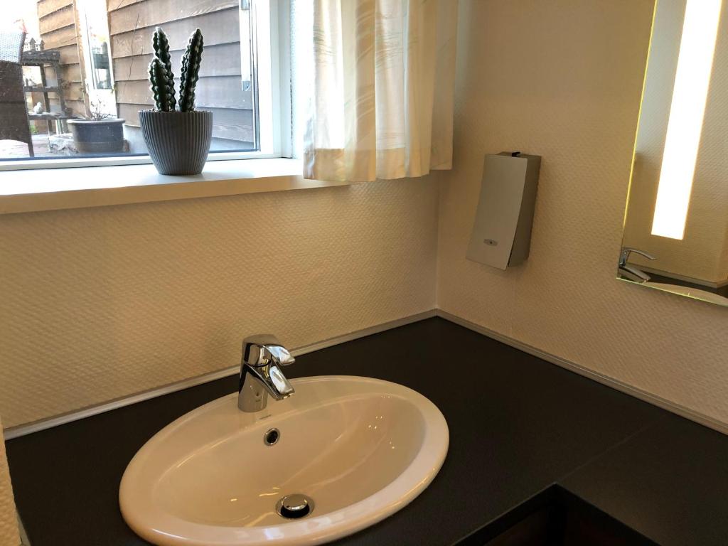 Skagentoppen Rooms photo 4