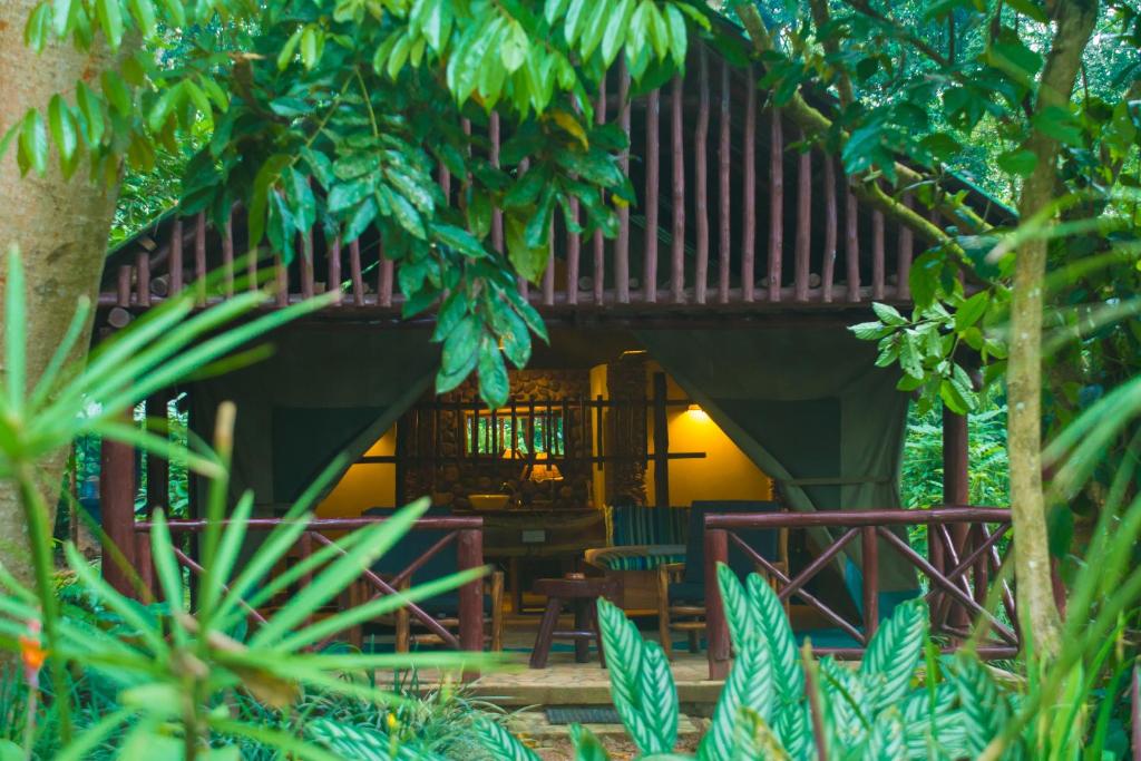 Kibale Forest Camp by NATURE LODGES LTD photo 4