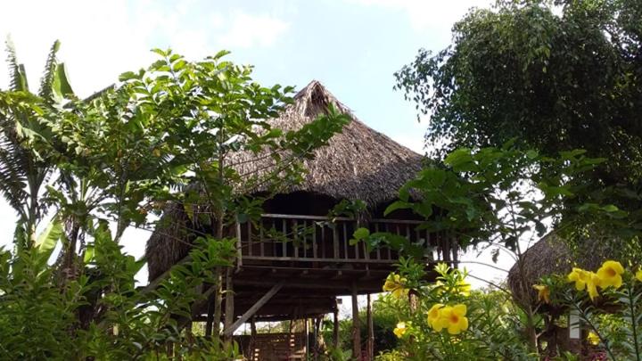 Sunny Field Eco Stilt House