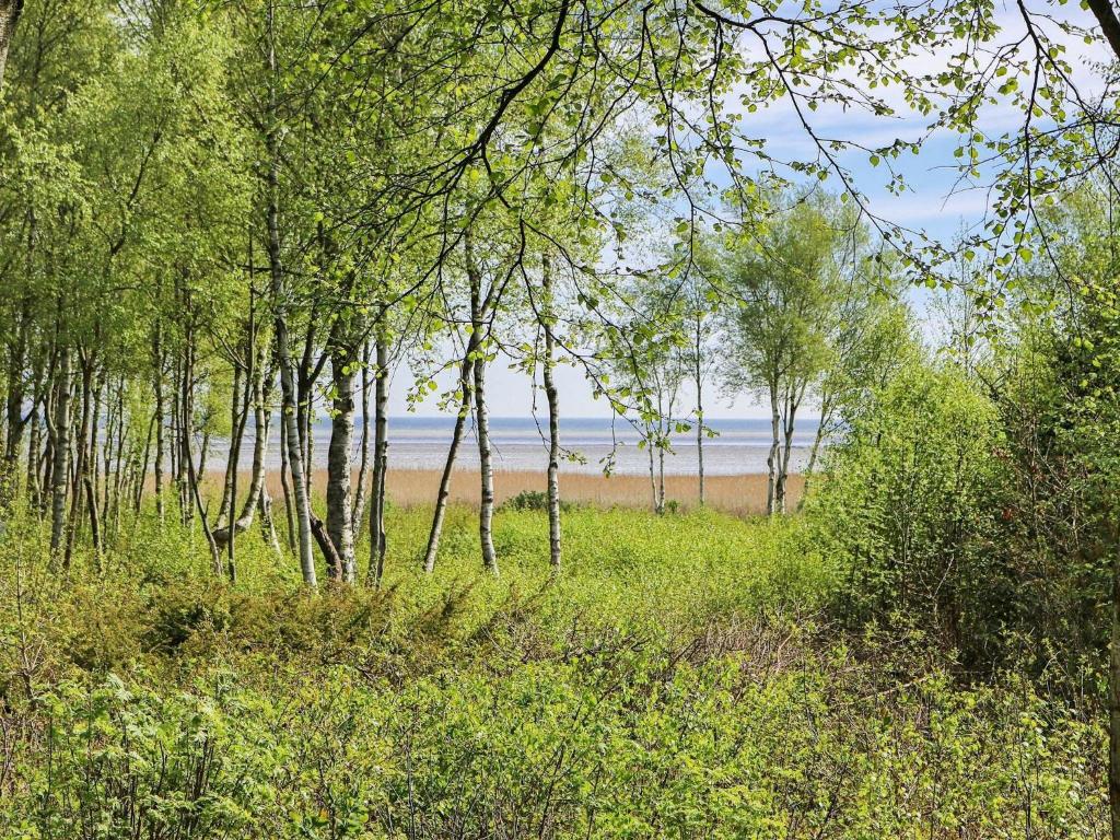Holiday home Hadsund IV photo 3
