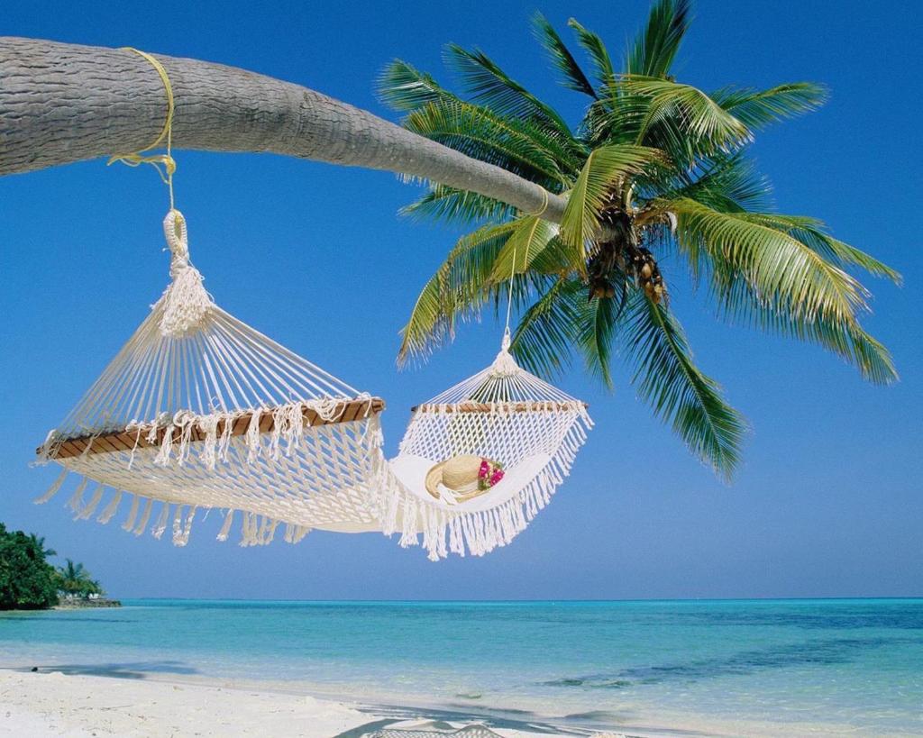 TWO Bedroom TWO Bath Family Condo - Sleeps Four - Unit B - Private Beach image