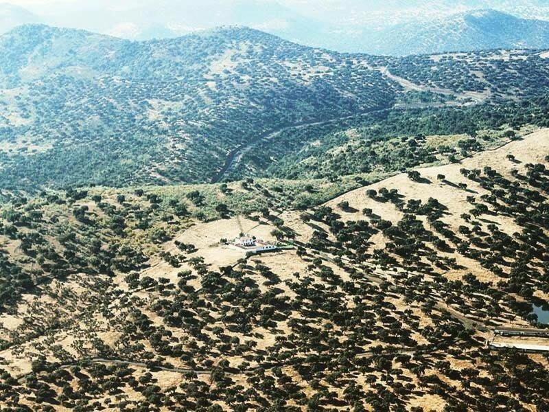 FINCA LAS DEHESILLAS photo 1