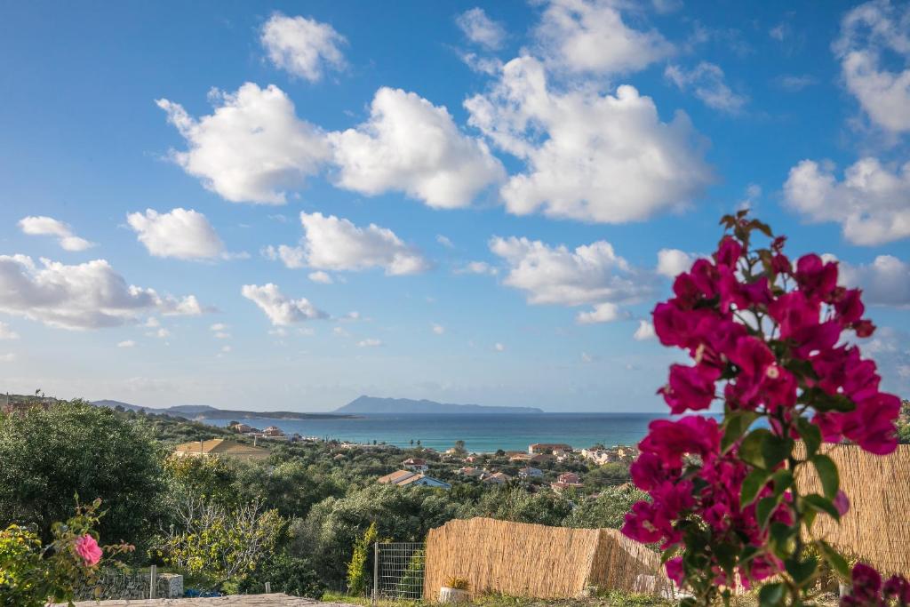 Maria’s House Arillas Corfu photo 2