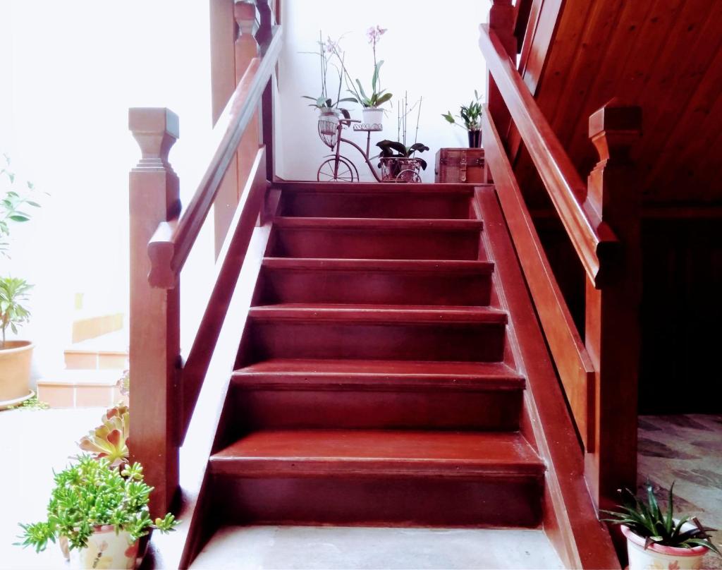 Casa Rural Los Helechos photo 4