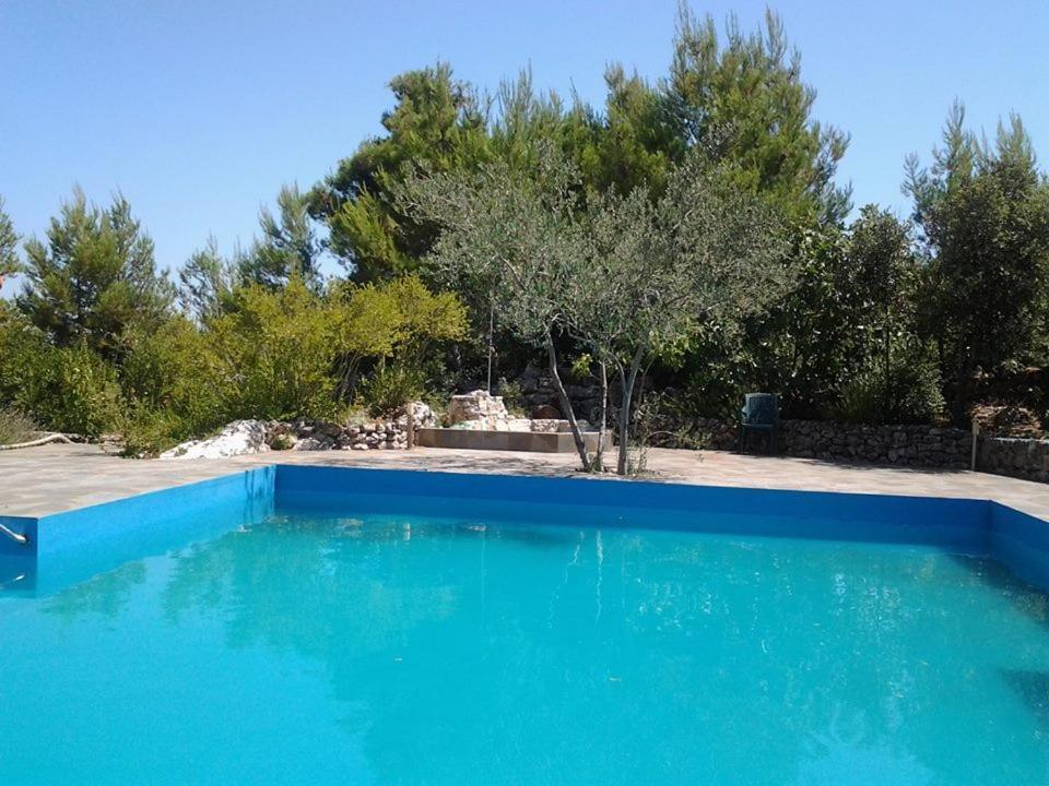 Aparthotel Vila Danica photo 3