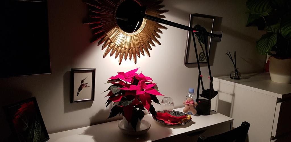 ViaRhona cocooning room Frei Zimmer photo 3