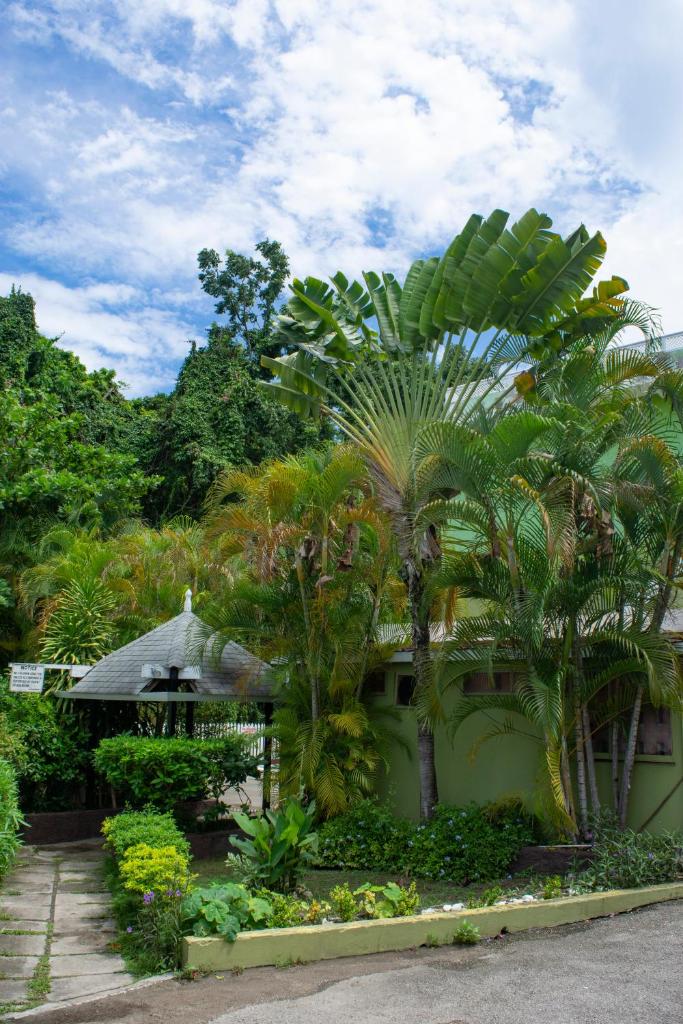 Pineapple Court Hotel photo 3