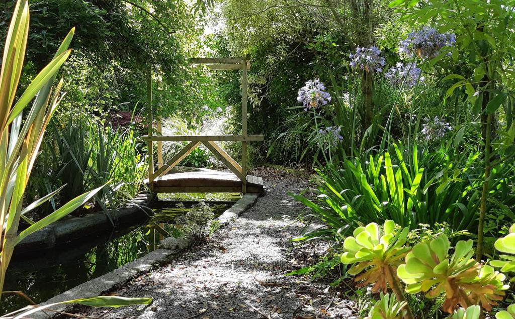 Clive Colonial Cottages photo 4