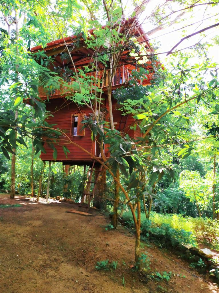 Tree House-Midigama photo 1