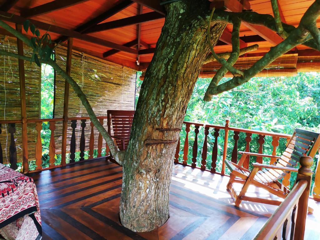 Tree House-Midigama photo 4