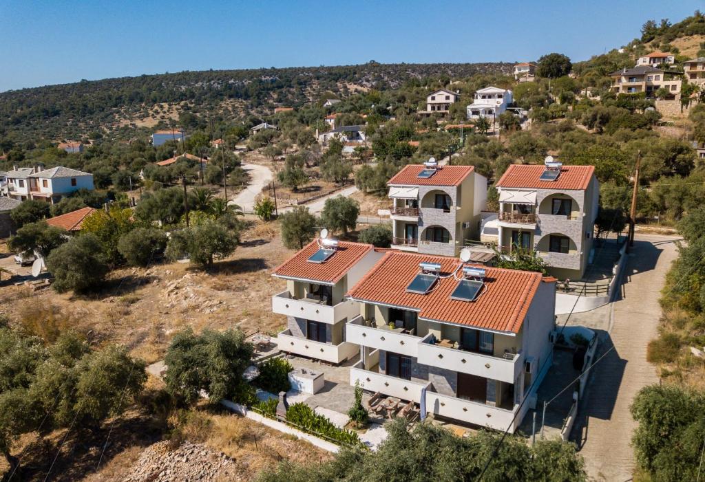 Villa Oliva photo 4