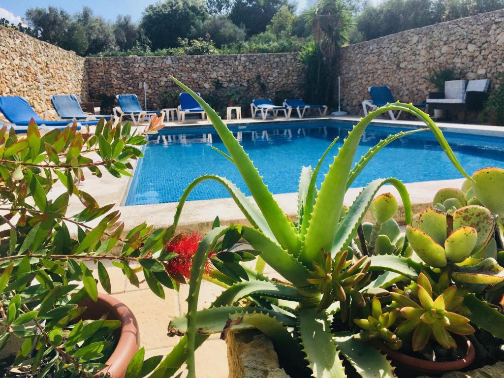 Botanica B&B
