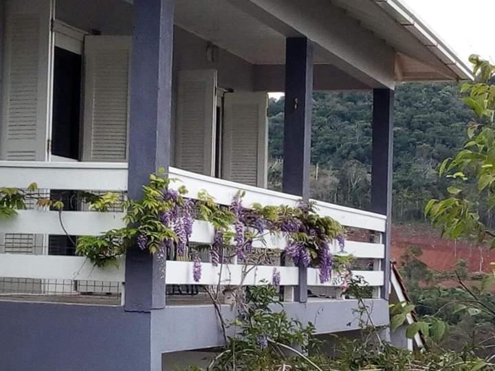 Casa Deni photo 4