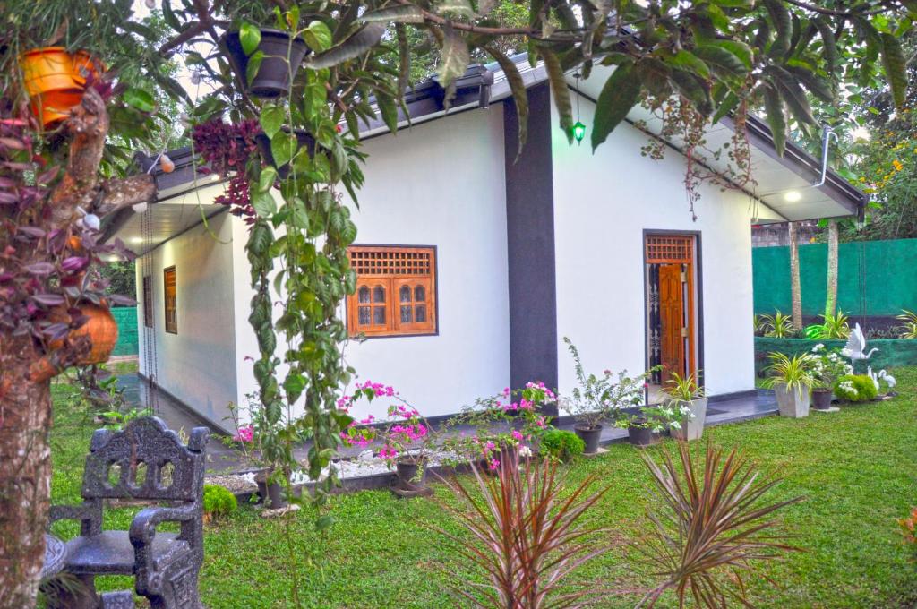 Sunny Homestay photo 4