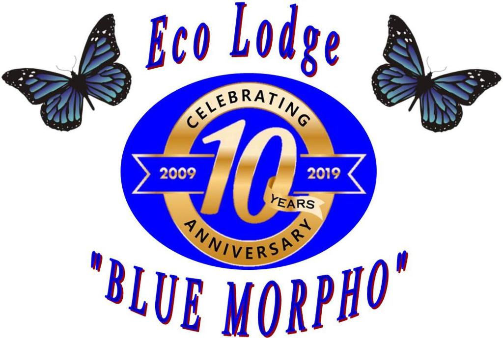 Ecolodge Blue Morpho photo 1
