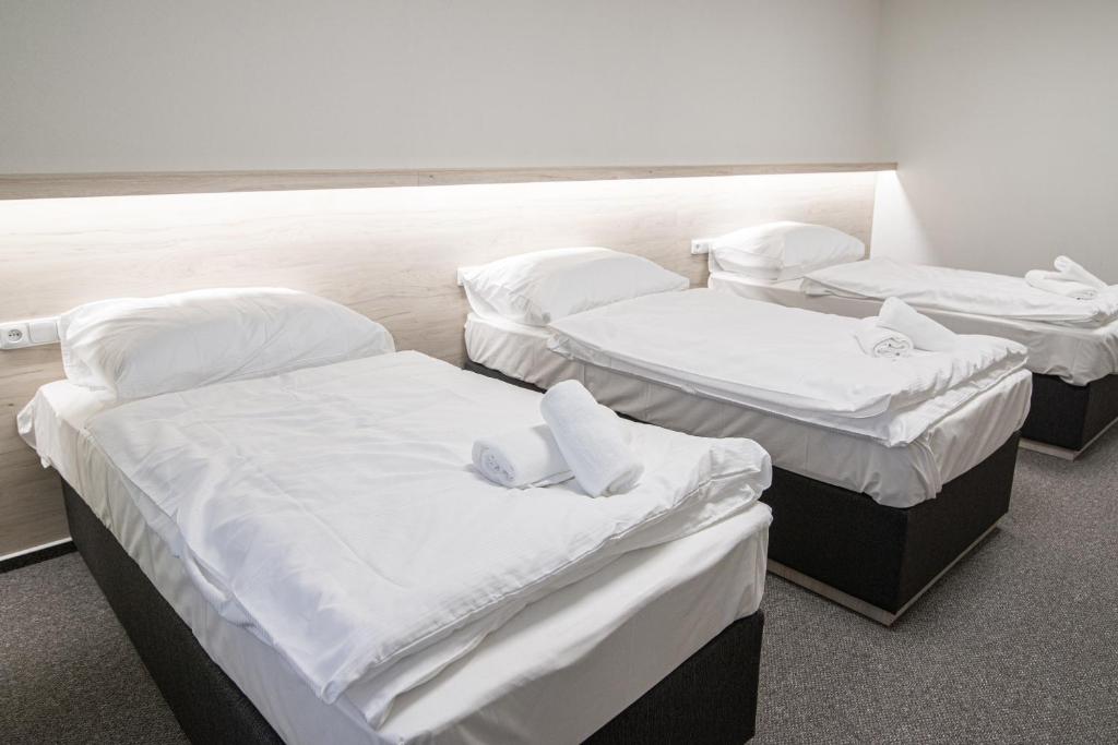 Garni hotel Roušarka photo 3