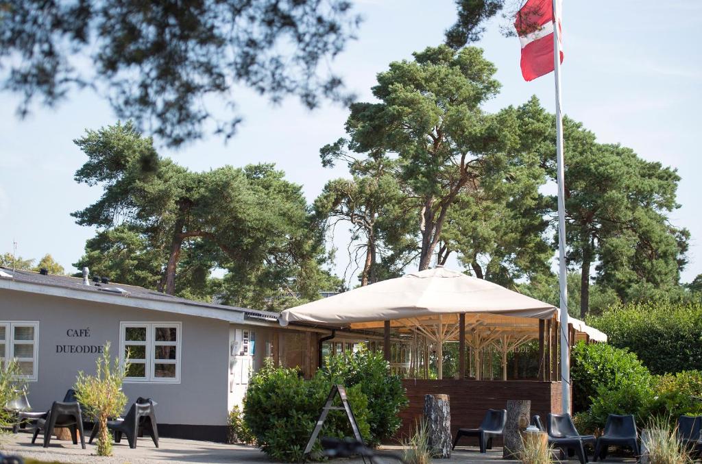Dueodde Hostel photo 4