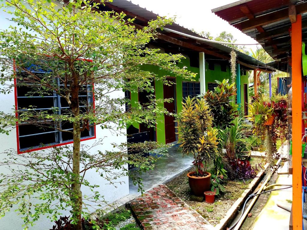 Tony’s Guesthouse at Teluk Bahang photo 1