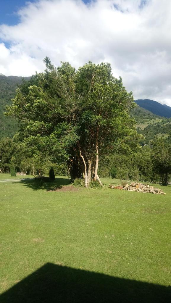 Cabaña Río Cochamó photo 3
