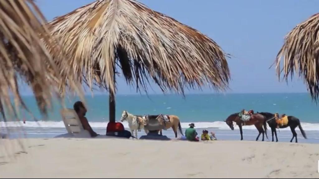 PARADISE EN VICHAYITO photo 1