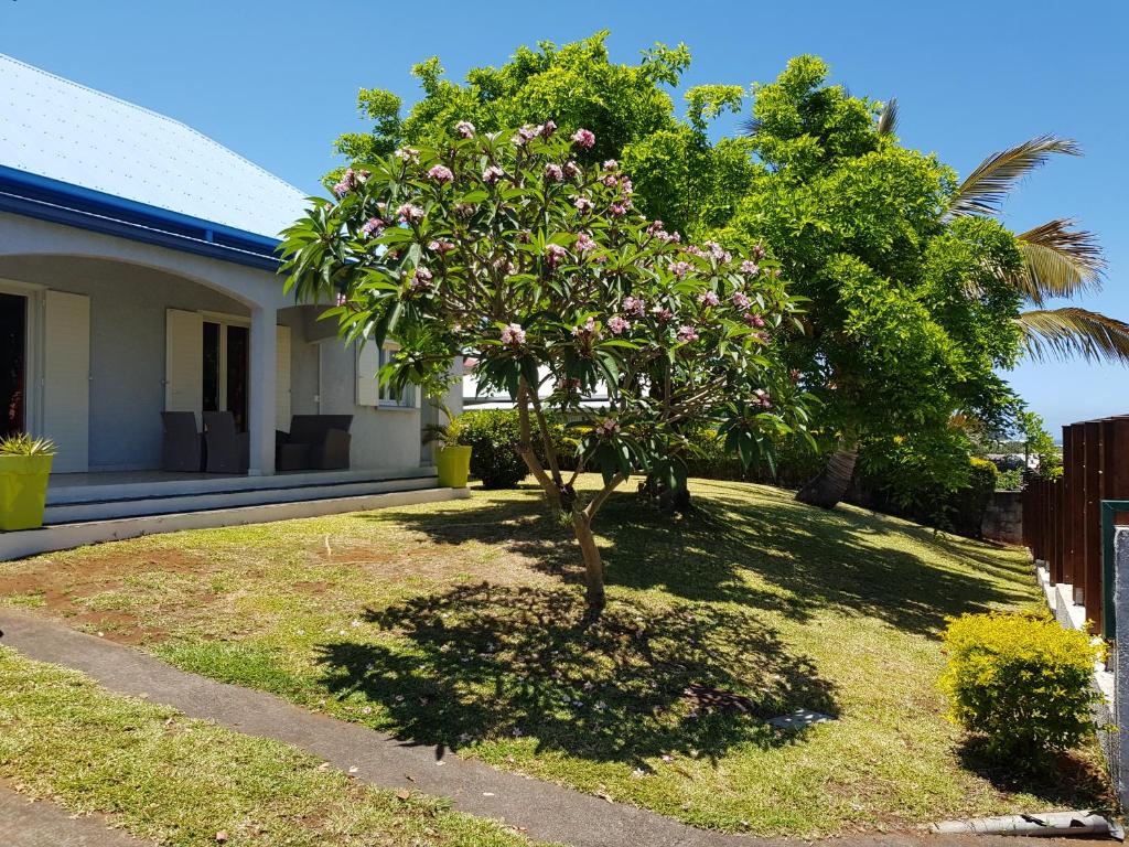 Location saisonnière Les Hirondelles - Manapany photo 1