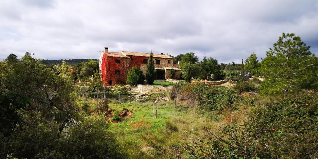 Mas de l'Arlequi photo 4